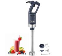 VEVOR Frullatore a Immersione Commerciale 500 W con Lama in Acciaio Inossidabile