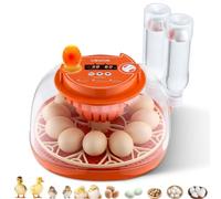 VEVOR Incubatrice da 12 Uova con Candela a LED, Display della Temperatura e Controllo Automatico dell'Umidità, Finestra Trasparente con Vista a 360°, per la Schiusa di Pulcini, Anatre, Oche