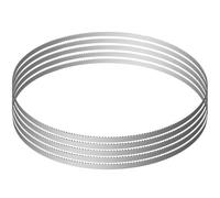 VEVOR Lama per Segaossa Macchina Segatrice per Ossa 1650 x 16 x 0,56 mm, Set di Lama per Segaossa da 5 Pezzi Compatibile per Segaossa da Banco Segaossa da Terra, 5 Lame a Nastro in Acciaio al Carbonio