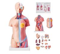 VEVOR Modello Anatomico di Corpo Umano, 23 Pezzi 455mm, Modello di Anatomia del Torso Umano, Modello di Scheletro Anatomico Unisex con Organi Rimovibili, Modello Didattico Educativo per Anatomia