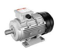 VEVOR Motore Elettrico 2,2KW 2890 Giri/min, AC 400V 4,7A, 90L, Telaio B3, Motore del Compressore d'Aria Trifase, Albero con Chiavetta 24 mm, Rotazione CW/CCW Macchine Agricole e Attrezzature Generali