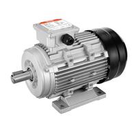 VEVOR Motore Elettrico 2,2KW 2890 Giri/min, AC 400V 4,7A, 90L, Telaio B3, Motore del Compressore d'Aria Trifase, Albero con Chiavetta 24 mm, Rotazione CW/CCW Macchine Agricole e Attrezzature Generali