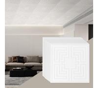VEVOR Pannelli per Controsoffitto 605 x 605 mm Pannello per Soffitto, Confezione da 12, Facile Installazione/Taglio, Pannelli per Soffitto in Plastica Adesivi, Decorazione di Casa, Motivo Eco Bianco