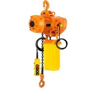VEVOR Paranco elettrico a catena paranco per gru monofase carico 1 tonnellata