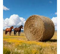 VEVOR Rete per Balle di Fieno Rotonde 1,8 x 1,8 x 1,8 m, Fori da 42 x 42 mm, Materiale PE, Design Senza Nodi, con Fascette, Navetta per Aghi, Spago di Riparazione e Borsa per la Conservazione