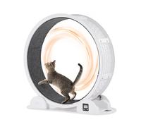 VEVOR Ruota per Esercizi per Gatti con Contapassi, 1038 mm Ruota per Correre con Freno Pista in Moquette per Gatti da Interno Sotto 13,6 kg Attrezzo per Esercizi per Gatti per Animali Domestici Bianco