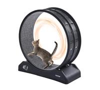 VEVOR Ruota per Esercizi per Gatti, Grande Ruota per Correre con Freno di Sicurezza e Pista in Moquette, Tapis Roulant per Gatti, Ruota per Esercizi da Interno per Animali Domestici, Nero 800 mm