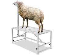 VEVOR Supporto per Capre Pecore, Supporto 1195 x 584 mm, Supporto per Bestiame Mungitura e Tosatura del Bestiame in Metallo Altezza Regolabile, con Copricapo Passante Naso,Peso Carico 226,8 kg Bianco