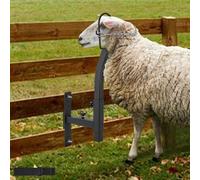 VEVOR Supporto per rifilatura – metallo 238–325 mm, altezza 0–138 mm, passante per il naso, nero