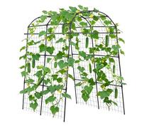 VEVOR Traliccio per Cetrioli a Forma di Arco Traliccio in Metallo da Giardino Supporto per Piante Rampicanti da Giardino 180 x 112 x 210,8 cm per Viti Piselli Fagioli Zucchine Pomodori Fiori Piante