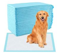 Vexillic Tappetini Igienici per Cani, 20 Pezzi Traversine Cani 60x90cm, Tappetini Assorbenti per Cani e Gatti Multiuso 6 Strati a Prova di Perdite con Superficie Asciugatura Rapida