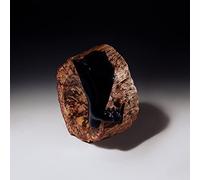 Veyl Maenad & The Sarcasm Ensemble - Comfort In Misery