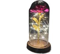 VFdthR Rosa Eterna Rosa di Vetro, for Sempre Magic Eternal 24K Lamina d'oro Fiore Cupola Fata String Lights Natale San Valentino Regalo della Mamma(009)