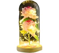 VFdthR Rosa Eterna Rosa di Vetro, Rosa for Sempre Artificiale Luce eterna con Copertura in Decorazione for la casa for San Valentino Regalo Natale for Mamma(Style B)