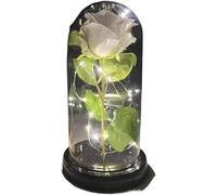 VFdthR Rosa Eterna Rosa di Vetro, Rosa for Sempre incantata eterna con Lucine nella Cupola for Il Regalo San Valentino Natale(30)