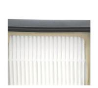 VFEBTSD Filtro for aspirapolvere nero e bianco, filtro antipolvere compatibile con BOSCH GL-40 GL-30 00576833, nuovo Hot Pro Top, 1 pezzo