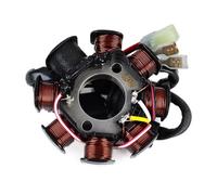 VFENSE 55139004100 Bobine di accensione Bobina statore Compatibile con KTM EXC 250 300XCW 200 XC XCW EXC-E Six Days 250R Freeride 55139004000