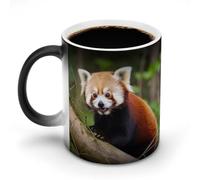 VFMNT Little Red Panda Tazza da caffè termocromica tazza da caffè divertente tazza scolorimento tazza magica calore temperatura cambia colore tazza novità regalo per ufficio migliore amico Natale