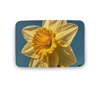 VFMNT Tappeto da bagno Bouquet Af Narciso Tappeto da bagno Super Assorbente Tappeto da bagno Morbido e Antiscivolo Tappetino da doccia ad asciugatura rapida Tappetino in microfibra per bagno Pavimento