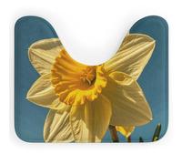 VFMNT Tappeto WC Bouquet Af Narciso Tappeto da bagno per WC Tappeto da bagno Lavabile Tappeto da bagno Morbido e assorbente Tappetino da bagno a forma di U Tappetino antiscivolo per bagno 50 x 40 cm