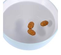 VGEBY Esche Pop-up Galleggianti Morbide per Pesca Alla Carpa, in Plastica, 30 Pezzi, 1,1 X,8 Cm, Marrone, Senza Sapore, per i Pescatori di Carpa nel Lago, nel Bacino Idrico del Fiume e Nella Pesca