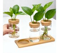 VGECEE Vaso Idroponico in Vetro, 3 Pezzi Stazioni di Propagazione Idroponica per Piante con 1 Vassoio e 3 Coperchio Terrario da Tavolo per Piante Decorativo di Vasi Vetro di Legno per Casa Ufficio