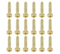 VGOL 50 Pezzi Viti Di Montaggio Per Testa Della Macchina Accordatore Per Chitarra M2 10mm Accordatori Per Chitarra In Metallo Per Chitarra Elettrica Acustica Basso Oro