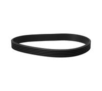 VGOL Cinghia Per Tapis Roulant 336EPJ 5 Nervature Larghezza 11,7 Mm Compatibile Con La Cinghia Per Tapis Roulant VEGA