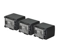 vhbw 3x batteria compatibile con Canon Legria HF S100, HF M46, HF S10, HF M41 HF M46, HF S10 HD videocamera camcorder (1600mAh, 7,2V, Li-Ion)