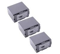 vhbw 3x batteria compatibile con Grundig DLC-1, DLC-10, DLC-1000, DLC-1500, DLC-20 videocamera camcorder (3200mAh, 7,2V, Li-Ion)