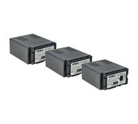 vhbw 3x batteria compatibile con Panasonic AG-HMC151, AG-HMC151EU, AG-HMC70 videocamera camcorder (4400mAh, 7,4V, Li-Ion) con infochip