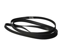 vhbw Cinghia trapezoidale sostituisce Hutchinson 9000431719 7PH 1995 per asciugatrice - 14,6 cm nero