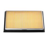 vhbw filtro aria compatibile con Nissan Qashqai/Qashqai+2 (J10, NJ10, JJ10E) 1.5 dCi auto - Filtro motore