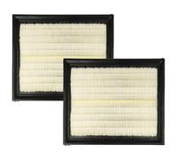 vhbw set da 2x filtro compatibile con Lidl Parkside Performance PPWD 30 B2 aspirapolvere - Filtro principale