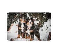 VhoMes Zerbino da esterno,Zerbino antiscivolo per ingresso interno, Tappetino per patio esterno 49x80 cm,Divertente Bovaro del Bernese