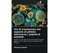 Via di trasduzione del segnale di p66shc attraverso i peptidi β-amiloidi: studiare il ruolo della via di trasduzione del segnale p66shc in linee cellulari neuronali trattate con β-amiloide