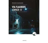 Via Flaubert, civico 11