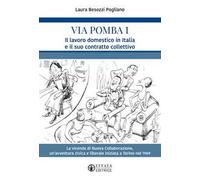 Via Pomba 1. Il lavoro domestico in Italia e il suo contratto collettivo. La vicenda di Nuova Collaborazione, un'avventura civica e liberale iniziata a Torino nel 1969