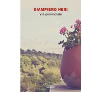 Via provinciale