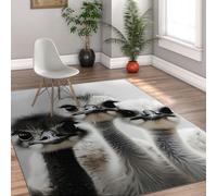 Via Vela Tappeti a tema fauna selvatica 60x120cm Tappetino lavabile con motivo a struzzo Tappeto antiscivolo sottile pieghevole per interni per camera da letto Soggiorno Bagno