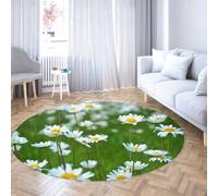 Via Vela Tappeto rotondo lavabile in lavatrice in stile semplice 160cm Tappeto circolare per pavimenti interni a pelo corto a pelo corto antiscivolo per camera da letto Sala conferenze
