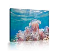 Via Vela Tela di medusa subacquea Arte murale Vita marina oceanica Immagini moderne Stampe d'arte Poster Murales per la sala studio Arredamento della casa 60x80cm