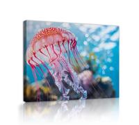 Via Vela Tela subacquea di Meduse Arte murale Vita oceanica Immagini di animali marini Opere d'arte Stampe Poster Pittura per Decorazioni di bagno dell'acquario 60x80cm