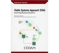 Viable Systems Approach (VSA). Governing business dynamics