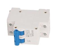 ViaGasaFamido Interruttore Automatico CC 2 Poli, 500V 63A DZ47Z-63 per