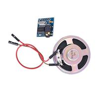 ViaGasaFamido Syn6288 Modulo di Testo con una Sintesi Vocale della Voce Cinese Naturale, per L'auto e il Terminale di Informazioni Elettroniche, 1 Modulo Audio con Corno