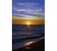 Viaggiatore senza biglietto
