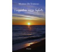 Viaggiatore senza biglietto di Massimo De Tommaso, 2019, Youcanprint