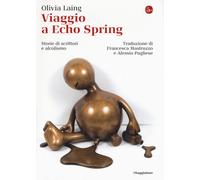 Viaggio a Echo Spring. Storie di scrittori e alcolismo - Laing Olivia