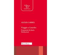 Viaggio a Lourdes. Frammenti di diario. Meditazioni. Nuova ediz.